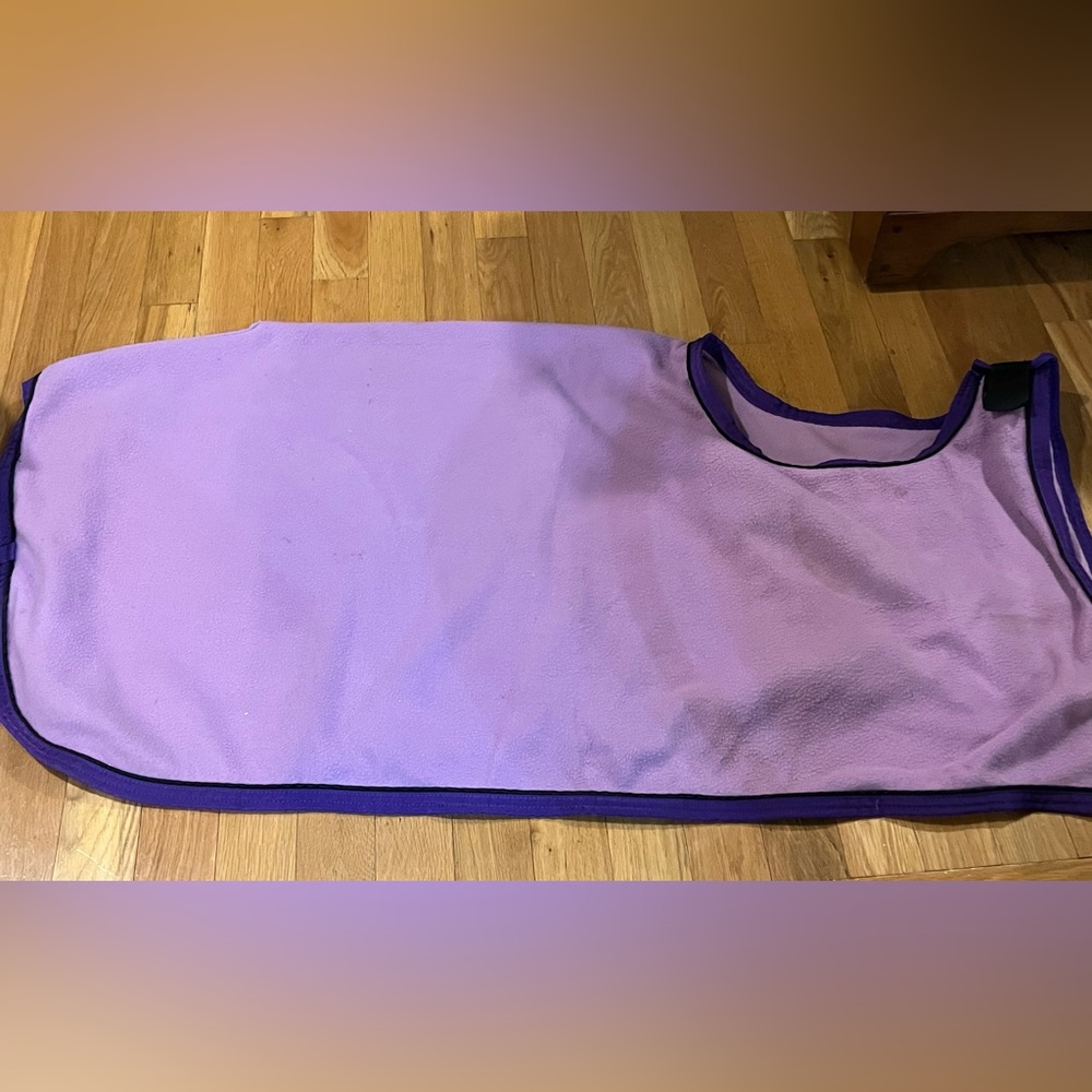 Pony Purple Dover Quarter Sheet